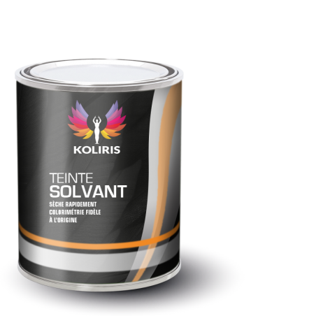 Peinture utilitaire - camion solvant Maxus