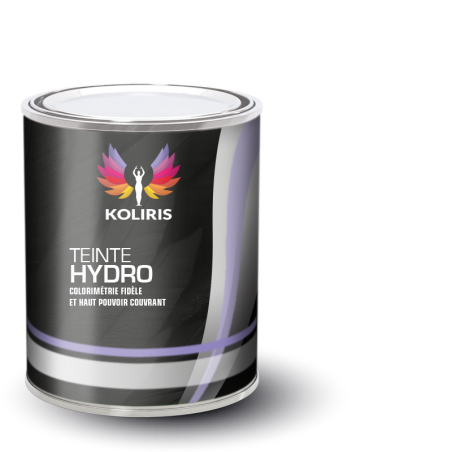 Peinture voiture hydro Aiways