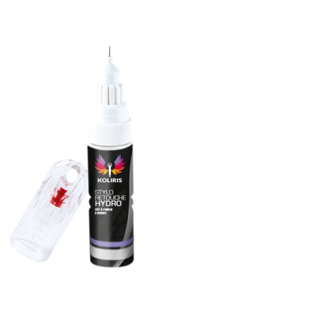 Stylo retouche peinture voiture Leap Motor 20ml