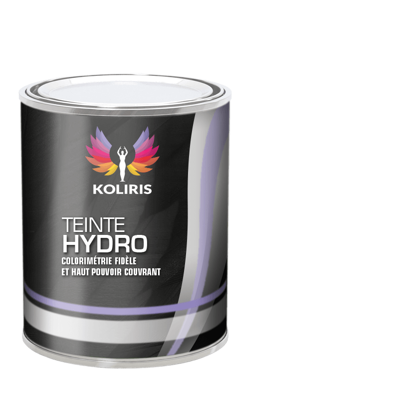 Peinture voiture hydro Lexus