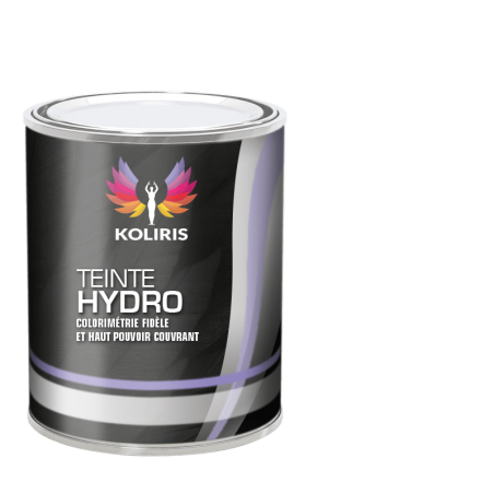 Peinture voiture hydro Lexus